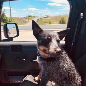 Meet your Posher, Jason